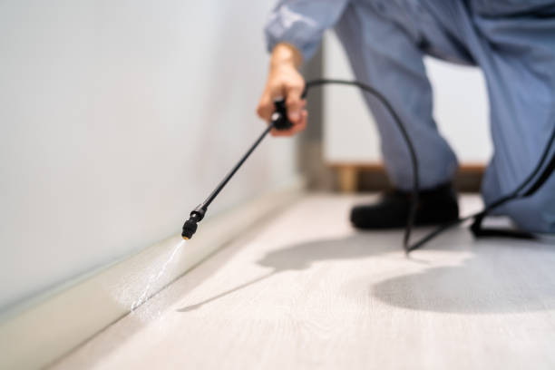 Licensed Termite Control service in Salina, KS - Nex Pest Control