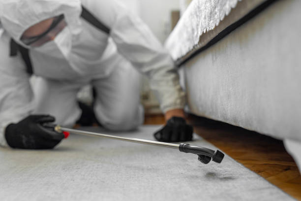 Professional Termite Control technician working in Salina, KS