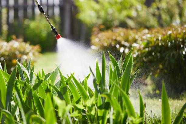 24/7 Emergency Termite Control experts in Salina, KS