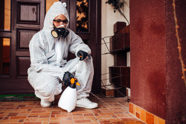 Reliable Termite Control contractor in Salina, KS by Nex Pest Control