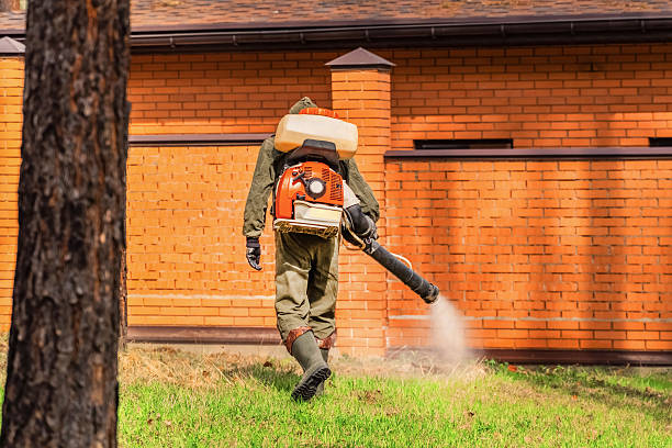 Top rated local Termite Control specialists in Salina, KS